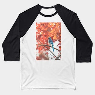 Autumnal Maple with Blue Jay Baseball T-Shirt